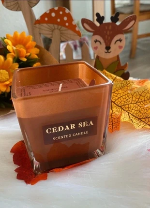 Bougie Cedar candle sea 🍒, brand: caddle sea, condition: Very good, €4.15, €5.06 includes Buyer Protection