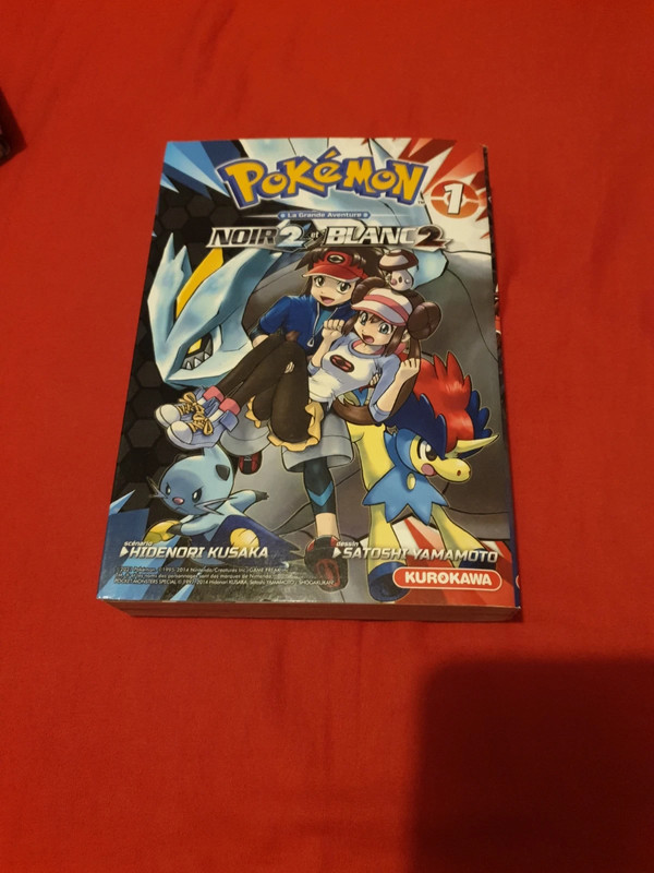 Pokemon noir 2 et blanc 2 Vinted