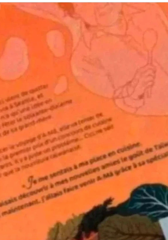 Livre bd graines de cheffes très bon état - photo numéro 2
