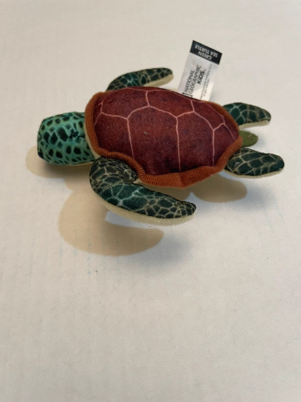 McDonald’s National Geographic Kids Green Sea Turtle Plush, 2018 1