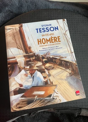 Livre illustré Sylvain Tesson Un été avec Homere, condition: New without tags, €14.00, €15.40 includes Buyer Protection