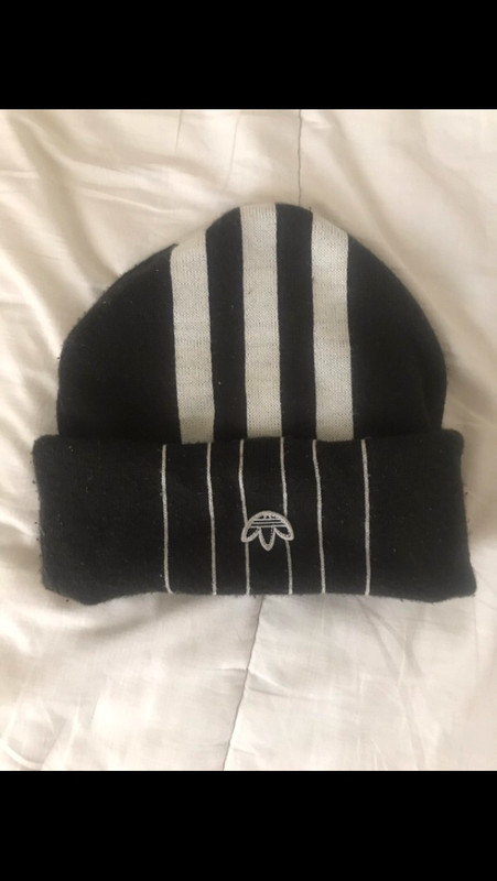 Cagoule adidas convertible en bonnet collaboration Alexander wang Vinted