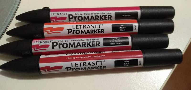 Promarker pennarelli doppia punta lotto.