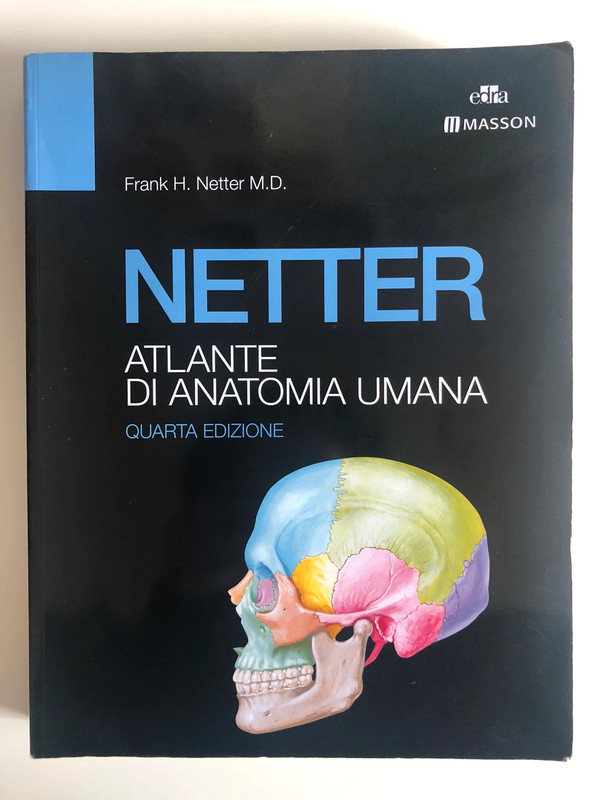 Netter”, Atlante di Anatomia Umana