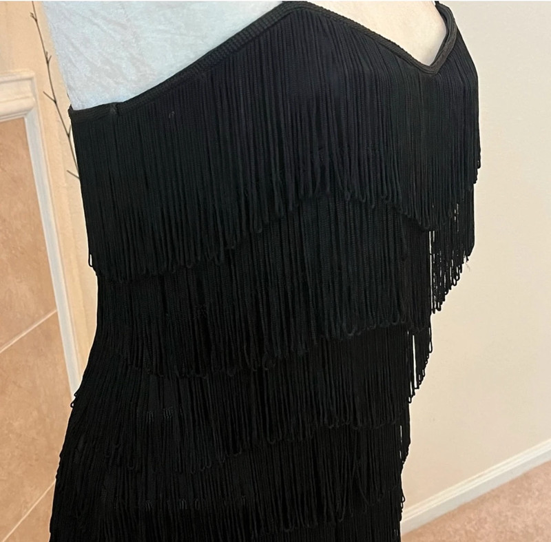 AKIRA Fringe on fringe flapper dress 2