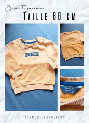 Sweat jaune 🧸 Taille 6 mois 🧸 Primark, marque: Primark, état: Très bon état, taille: 6-9 mois / 68 cm, 2,00 €, 2,80 € Protection acheteurs incluse