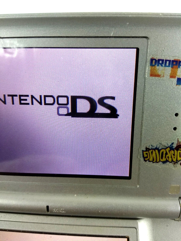 nintendo ds lite argent