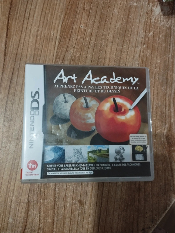 Art academy sur ds 1