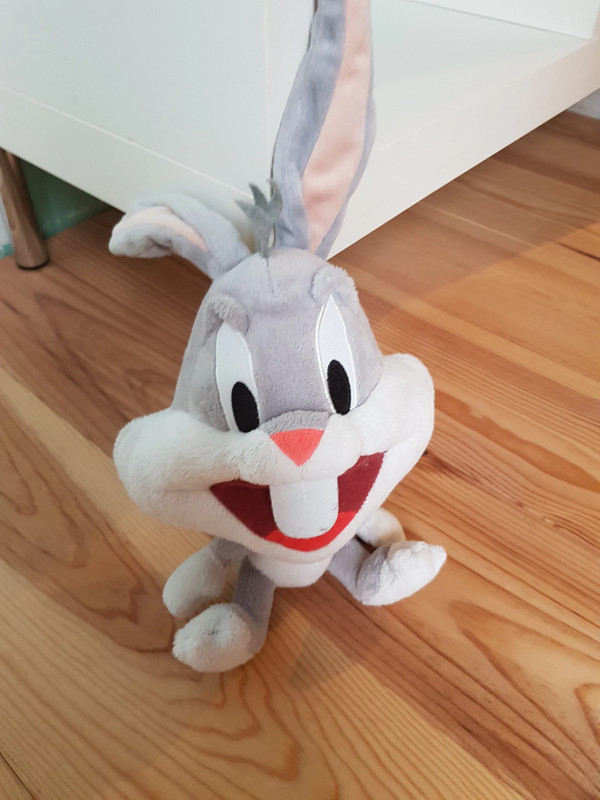 Lot de 5 peluches Looney Tunes Vinted