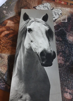 Tableau cheval noir & blanc, marke: B. Caram, zustand: Sehr gut, 10,00 €, 11,20 € inklusive Vinted-Käuferschutz