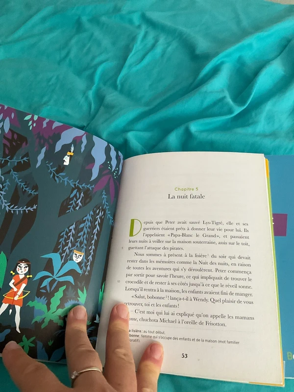 Livre et guide pédagogique enseignant Peter pan - photo numéro 5