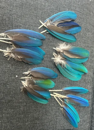 Oorbellen, merk: merkloos, staat: Nieuw zonder prijskaartje, € 10,00, € 11,20 inclusief Kopersbescherming