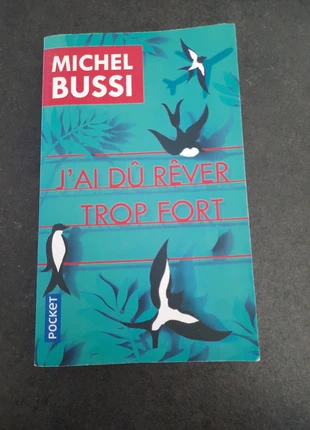 J ai du rêver trop fort de Michel bussi, zustand: Sehr gut, 2,50 €, 3,33 € inklusive Vinted-Käuferschutz