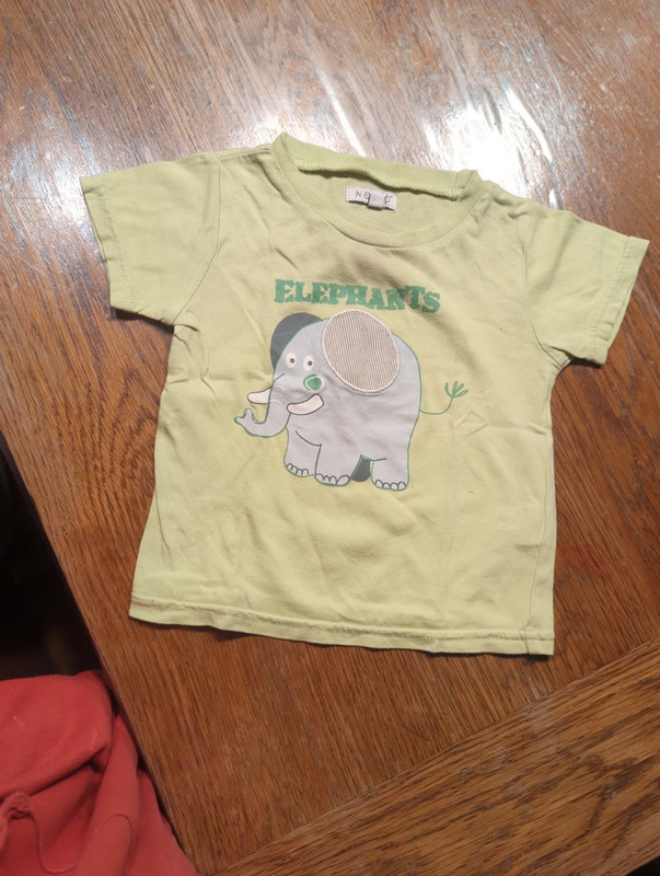 Tee-shirt éléphant In extenso 1