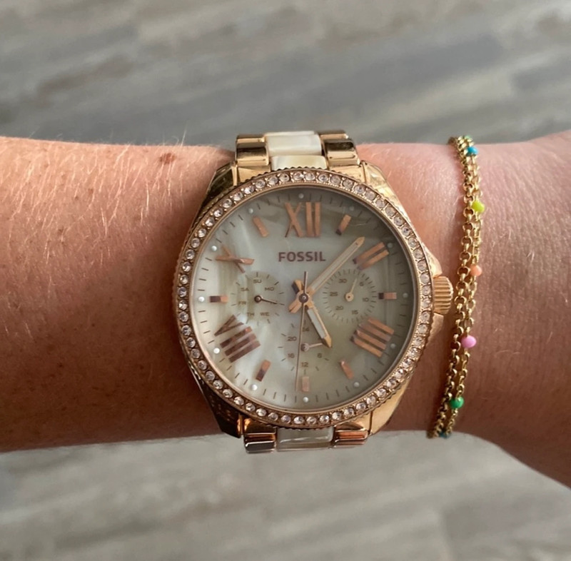 Fossil Watch 1