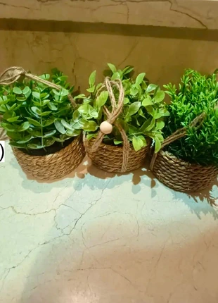 3pcs Set Artificial potted plants, brand: Eucalyptus, condition: New without tags, £13.99, £15.39 includes Buyer Protection