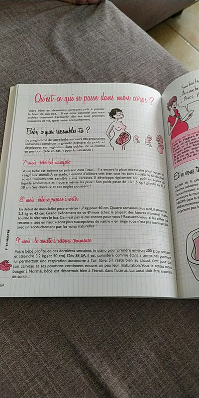 Mon Cahier Ma Grossesse Et Moi Vinted