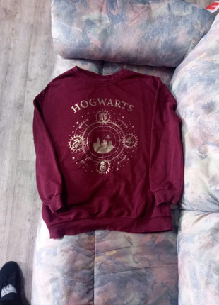 Pull Harry Potter XS en très bon état, marque: Harry Potter, état: Très bon état, taille: XS, 5,00 €, 5,95 € Protection acheteurs incluse