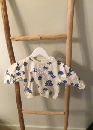 Leuk truitje beige met blauwe bloempjes, marca: Zeeman, estado: Muito bom, tamanho: 18-24 meses / 86 cm, €2.00, €2.80 inclui Proteção do Comprador