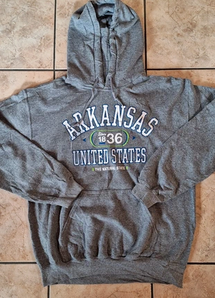 Sweat universitaire hoodie vintage, merk: Gildan, staat: Heel goed, maat: M / 38 / 10, € 12,00, € 13,30 inclusief Kopersbescherming