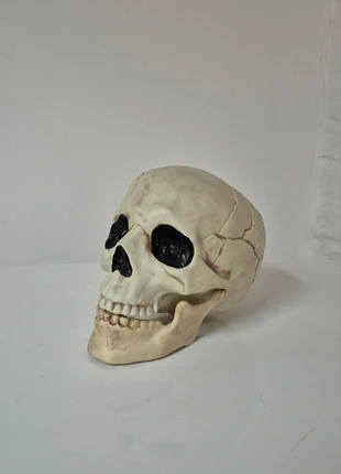 Décoration Halloween crâne à poser sur la table ou meuble, staat: Heel goed, € 8,00, € 9,10 inclusief Kopersbescherming