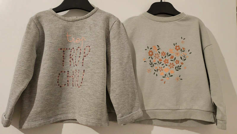 Lot de 2 sweats 24 mois - photo numéro 3