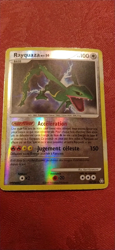 Rayquaza - Vinted