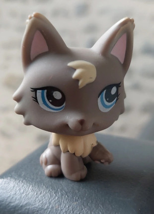 Pet shop chat loup, marque: Littlest Pet Shop, état: Bon état, taille: Taille unique, 2,50 €, 3,33 € Protection acheteurs incluse