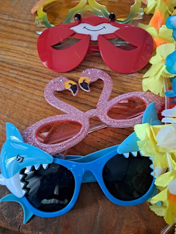 24 piece summer party kit 12 pairs of sunglasses 12 leis 4