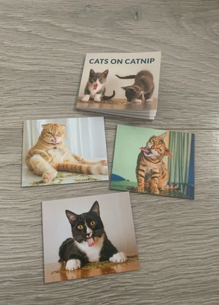 Cats on Catnip Fridge magnets, condition: New without tags, £1.50, £2.28 includes Buyer Protection