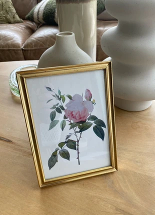 Petite illustration botanique rose encadrée, condizioni: Ottime, €5.00, €5.95 include la Protezione acquisti