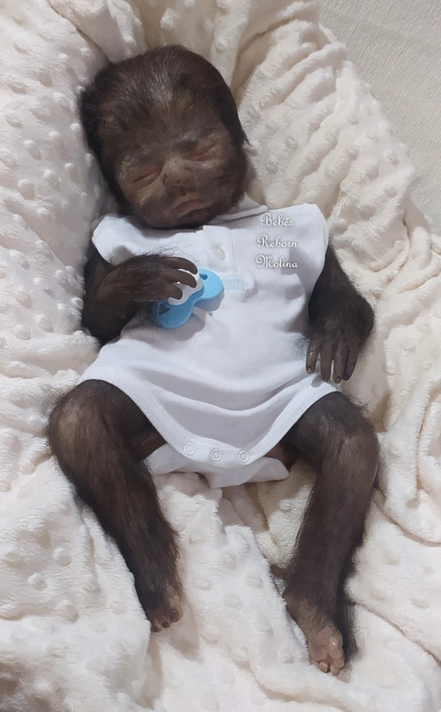 Bebes top reborn molina