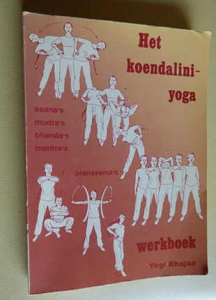 Het koendaline yogawerkboek – asana's, mudra's, bhanda's, mantra's, pranayama's, zustand: Gut, 20,00 €, 21,70 € inklusive Vinted-Käuferschutz
