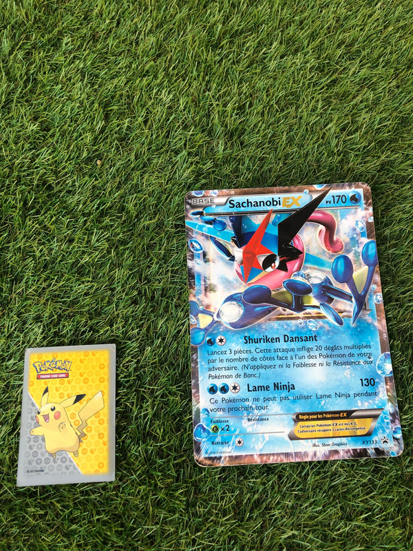 Carte pokémon XXL Sachanobi Ex