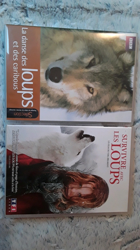 DVD Survivre avec les loups