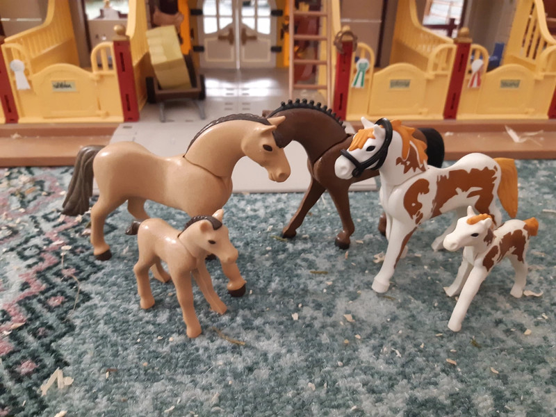 PLAYMOBIL : haras - centre équestre - personnage + cheval