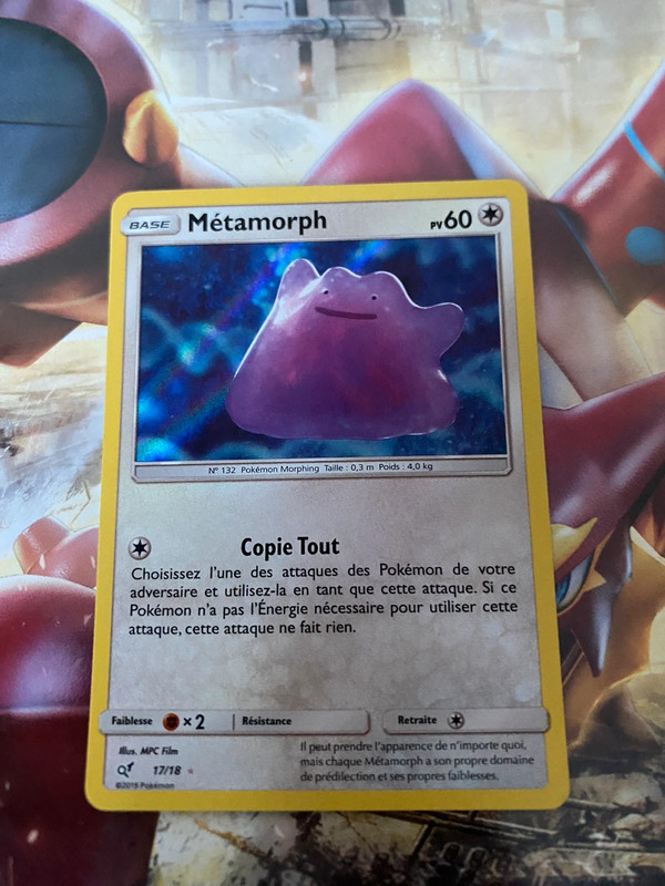 Metamorph 17/18 1