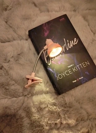 Petite lampe de lecture, marque: sansmarque, état: Neuf avec étiquette, 3,00 €, 3,85 € Protection acheteurs incluse