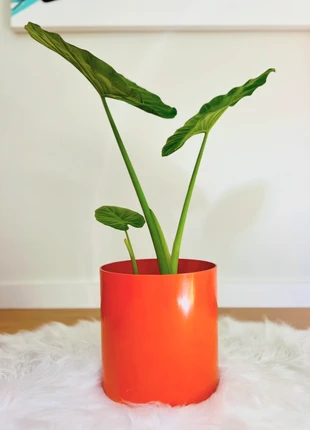 Orange waste paper bin/cachepot. Model 4660 by Gino Colombini for kartell, 1970s. Made in Italy., marca: Kartell, estado: Muito bom, €75.00, €79.45 inclui Proteção do Comprador