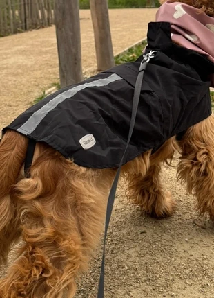 Imperméable chien, brand: Record, condition: Very good, size: M, €18.00, €19.60 includes Buyer Protection