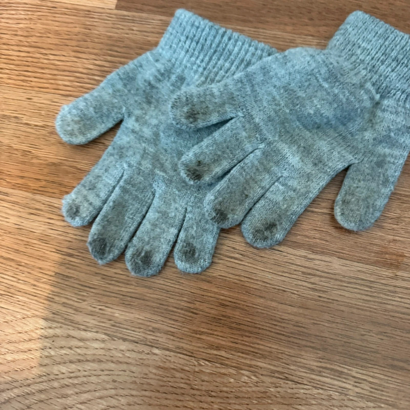 Gray Dinosaur Gloves 2