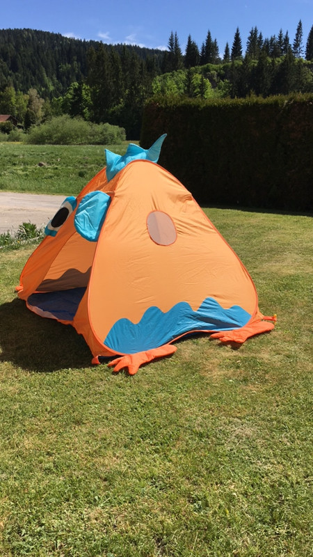 sardine de tente pour camping - Profil Nature