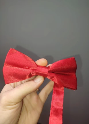 Noeud Papillon rouge, état: Neuf sans étiquette, 7,00 €, 8,05 € Protection acheteurs incluse