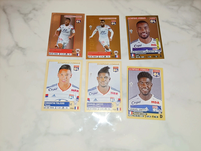 6 figurine Olympique Lyon OL Foot Ligue 1 Panini 1