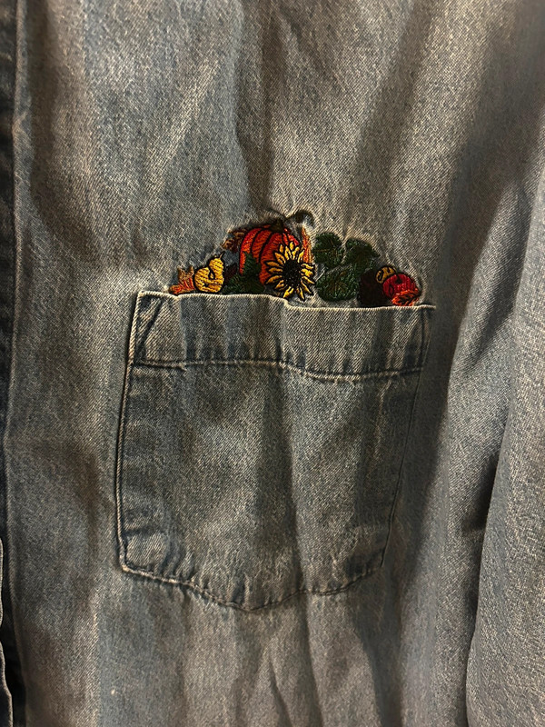 Embroidered autumn chambray denim button up shirt 3