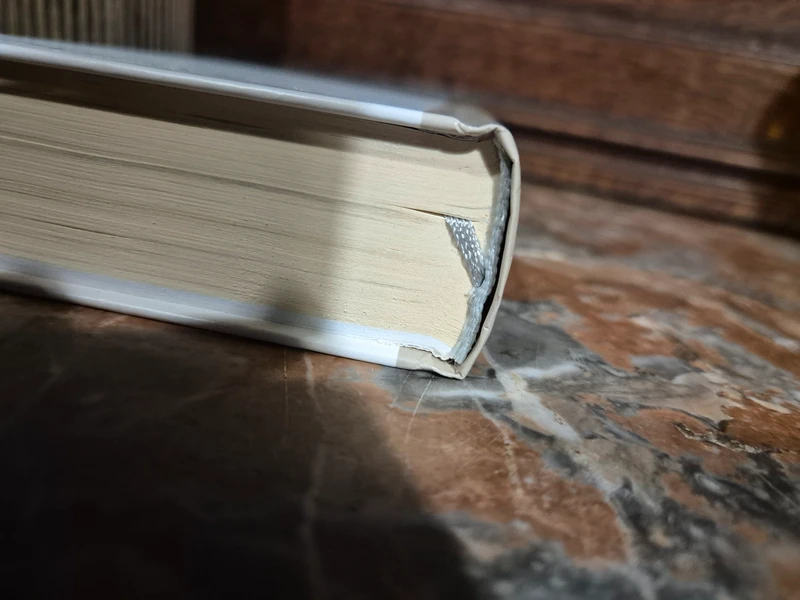 📚 Balzac - Illusions perdues 📚 - photo numéro 7