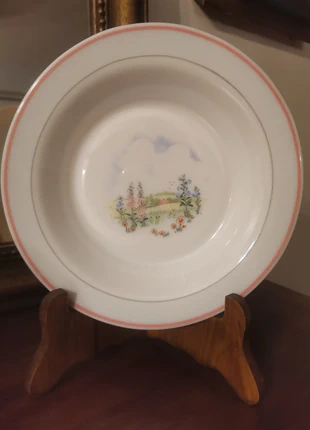 11 assiettes , marca: Arcopal, estado: Muy bueno, 11,00 €, 12,25 € Protección al comprador incluida