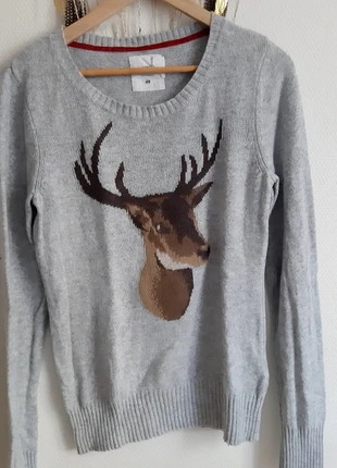 Pull taille M , merk: H&M, staat: Heel goed, maat: M / 38 / 10, € 6,00, € 7,00 inclusief Kopersbescherming
