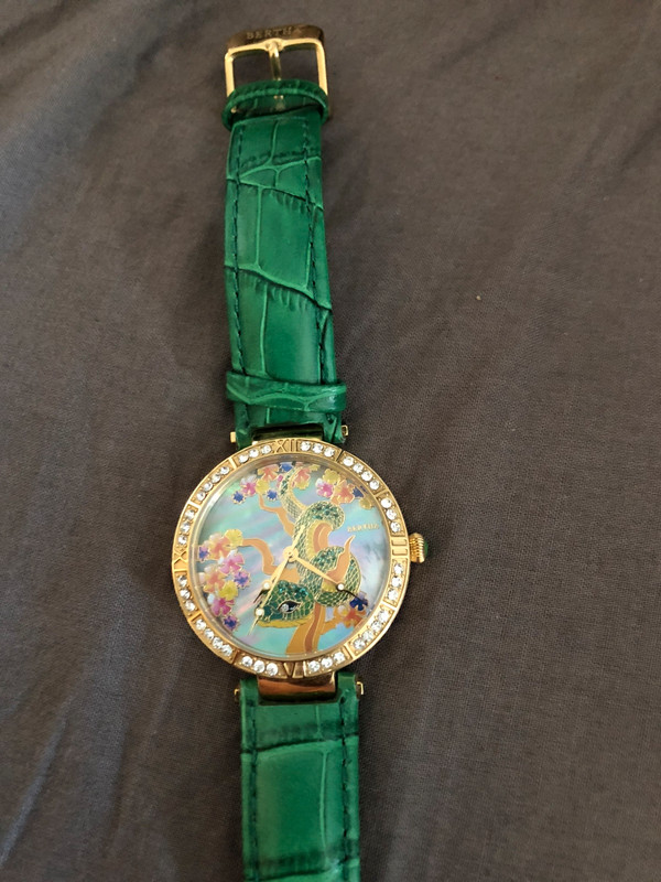 Montre Bertha verte