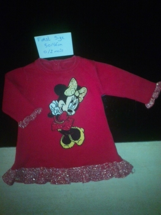 Robe pull minnie Disney